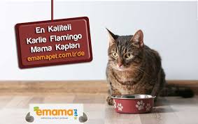 Kedi Ya Da Kopeginize Kaliteli Urun Icin Www Emamapet Com Tr Emamapet Kedi Kopek Kedimamasi Kopekmamasi Sevimli Kediler Urunler Ve Kedi