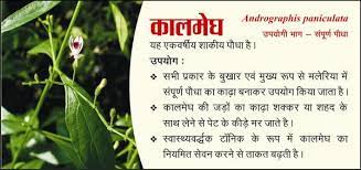 June 22, 2021 chhattisgarh news, daily news coverage 0. Cg Med Plants Board On Twitter Cgsmpb T Medicinalplant For Home Herbal Garden Http T Co Nbgq3rzmlb