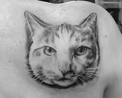 Give your tattoo a hint of colors by adding a few yellow spots at the back of your black and white sunflower arm tattoo! 25 Best Cat Portrait Tattoo Designs The Paws