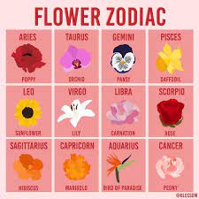 Happy Valentine S Day This Is What Flower You D Be Based On Your Zodiac Sign Happy Valentine S Day Zodiac Zodiac Sign Fashion Zodiac Signs Astrology