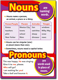 A noun is a word that describes a person, place, thing, or idea. What Are Nouns And Pronouns Please Explain What They Mean Myenglishteacher Eu Blog