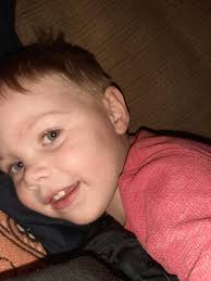 Does anyone make custom blankets with dog pictures?