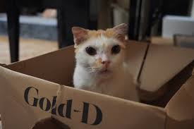 Marvin would like to wish everyone a very merry Christmas ❤️