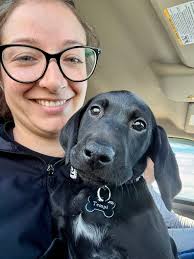 What puppy training classes are recommended for a 12-week-old chocolate lab?
