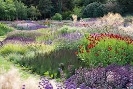 Piet Oudolf Leader Of Dutch Wave Garden Movement Dutch Gardens Landscape Design Urban Garden