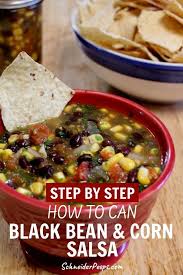 Black Bean And Corn Salsa Recipe Canned Black Bean And Corn Salsa Recipe Corn Salsa Food Recipes Salsa Recipe