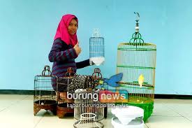 Sangkar burung buatan sendiri dan bahannya pun juga berkualitas, dengan kayu jati yang paling utama, tidak memakai paku, hanya memakai bambu untuk. Sangkar Paralon Kedamean Gresik Bisa Pesan Sesuai Keinginan Tahan Banting Dan Harga Bersaing Burungnews