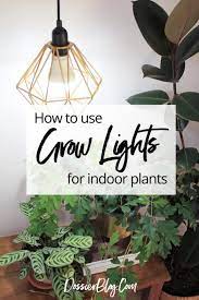Guide To The Best Led Grow Lights Indoor Plant Lights Best Led Grow Lights Growing Plants Indoors
