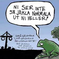 Små grodorna, små grodorna är lustiga att se. Sma Grodorna Amatorbiologen