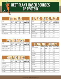 No Meat Athlete Plant Based Diet For Fitness Vegan Recipes Nutrition Vegan F Source De Proteine Devenir Vegetarien