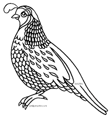 Download state symbol tennessee stock vectors. Bedroom Furniture Reviews Bird Drawings Art Quail
