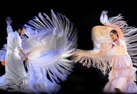 Image result for eustoma flamenco