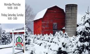 Pick the perfect christmas tree for your home and have a great holiday outing at one of the choose and cut christmas tree farms near asheville. Christmas Tree Cabins Smoky Mountain Tree Farm