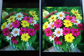 While lcd and oled displays have many differences, there is not much difference between amoled and oled. Apa Sih Perbedaan Display Lcd Dan Amoled Simak Penjelasannya Yuk