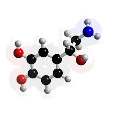 Image result for Norepinephrine