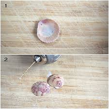 What's the best way to make a shell necklace? Diy Jewelry Tutorial How To Make Seashell Earrings Feltmagnet