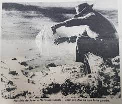 More images for giada preta » Inverno De 1975 Relembre A Geada Negra Em Maringa E Regiao Fotos