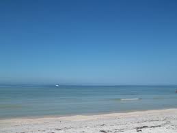 Honeymoon Island State Park Dunedin Fl Honeymoon Island Dunedin Travel Fun