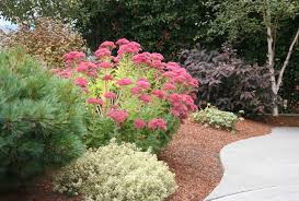 We did not find results for: Pacific Northwest Gardener S August Checklist