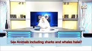 Is octopus halal sunni / spotlight halal food info for muslims haram animals : Quick Answer Is It Halal To Eat Shark Prepaid Credit Card