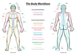 Anatomie der vagina.jpg 1,085 × 1,474; 4 197 637 Body Stock Photos And Images 123rf