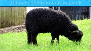 Ruyada Siyah Koyun Kesmek Youtube