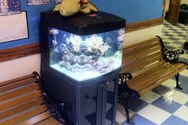 Search for results at wanted.de. Aquatic Solutions High End Saltwater Aquarium Store