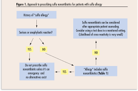 Pdf Approach To Managing Patients With Sulfa Allergy Use Of Antibiotic And Nonantibiotic Sulfonamides Semantic Scholar