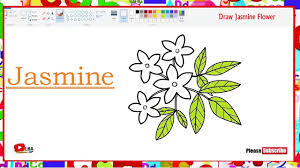 Even though i made a lesson on princess jasmine, i don't have one that shows you how to draw jasmine easy, step by step. Jasmine Flower Drawing Learnbyart Youtube