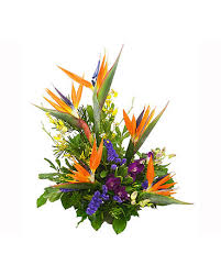 Lucie, florida, florida, amerika birleşik devletleri. Hawaiian Sunset In Port St Lucie Fl Tropical Flower Arrangements Wax Flowers Hawaiian Sunset