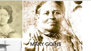 The Bower and Its Families Part 1 (bibliography 22:00) by Charles Fox with  Jim Surkamp