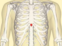 In many people it is so small that they be unaware of it but it may be quite. Xiphoid Process Pain Lump And Removal
