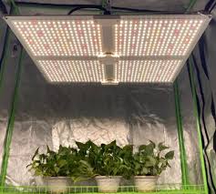 Growth recipe 4rbw 83% red 13% blue 4% white; Full Spectrum Led Grow Lights 110w 220w 440w 660w Plants Growing Lights Quantum Panel Indoor Grow Lamp Cob Led Grow Light Greenhouse Plants Grow Light Led China Led Grow Light Led