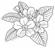 Primrose Tattoo Girls With Sleeve Tattoos Flower Tattoo Flower Tattoos