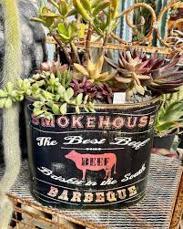 Black Friday Sale Next Friday and Saturday!! 50% off all plants the day  after Thanksgiving 🌵 Nov 29th & 30th @og_agavesplantparadise LIKE  🌵Save🌵SHARE ⬇️⬇️⬇️🌅⬇️⬇️⬇️ Follow 👉 @og_agave 👈for a steady stream of