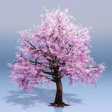 Cherry Blossom Tree 3d Model 29 Obj Max Fbx Dxf Dwg Free3d