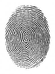Fingerprint Fingerprint A Level Art Sketchbook Vector