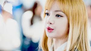 Pin By Akio Chiait On Black Pink In 2020 Blackpink Lisa Black Pink Blackpink