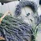 Wreath Making Workshop