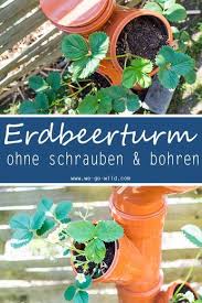 Erdbeerturm Selber Bauen In Nur 4 Schritten Zur Diy Erdbeersaule Erdbeerturm Erdbeeren Pflanzen Und Erdbeeren Garten