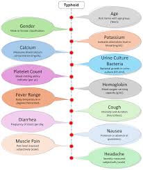 Image result for Typhoid Fever