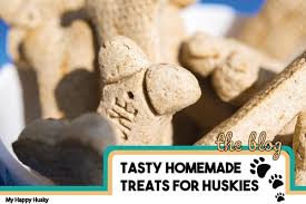 Training treats are effective tools in helping teach your dog a variety of commands. 10 Tasty Homemade Treats For Huskies The Healthy Option My Happy Husky