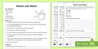 Plants absorb water and nutrients through the xylem: Plants And Water Worksheets Watering Plants Activity