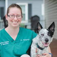 Animal hospital of waterford, located in waterford, pa, is a medical facility for animals that offers comprehensive animal medical care services for pets including dogs, cats, and. Veterinarians Animal Hospital Of Waterford