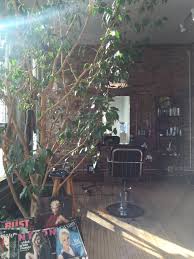Maybe you would like to learn more about one of these? 24 Best Hair Salons Near Ithaca Ny 2021 Bestprosintown