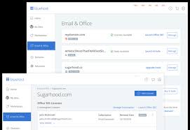 Domain Name Email With Microsoft 365 Bluehost
