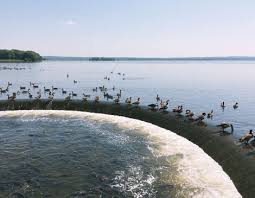 We did not find results for: Great Lakes And Rivers Pymatuning Lake