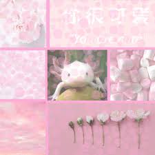 For more details go to edit properties. Axolotl Peach S ï¾Ÿ ï¾Ÿ ï¾Ÿ ï¾Ÿ ï¾Ÿ ï¾Ÿ On Planet Minecraft