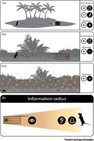 When you have unwanted little guests in your home or office, look no further. Leveraging Motivations Personality And Sensory Cues For Vertebrate Pest Management Trends In Ecology Evolution