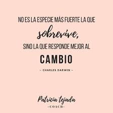 Como Vives Los Cambios Cambio Aprendizaje Accion Resistencia Gestiondelcambio Aceptacion Coaching De Equipos Gestion Del Cambio Gestion Del Tiempo